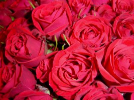 7 Sweet Cheap Deals For February