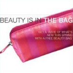 target_beauty target beauty bag
